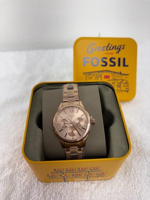 Fossil Multi-function Stainless Steel Watch - rose gold  (FOS/004)