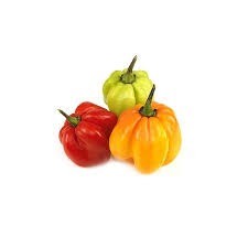 Scotch Bonnet Peppers