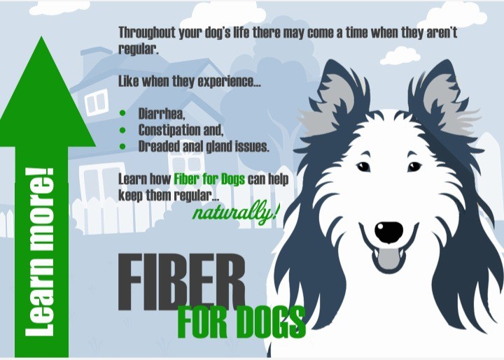 Fiber For Dogs