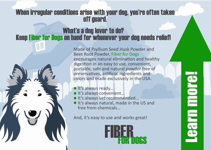 Fiber For Dogs