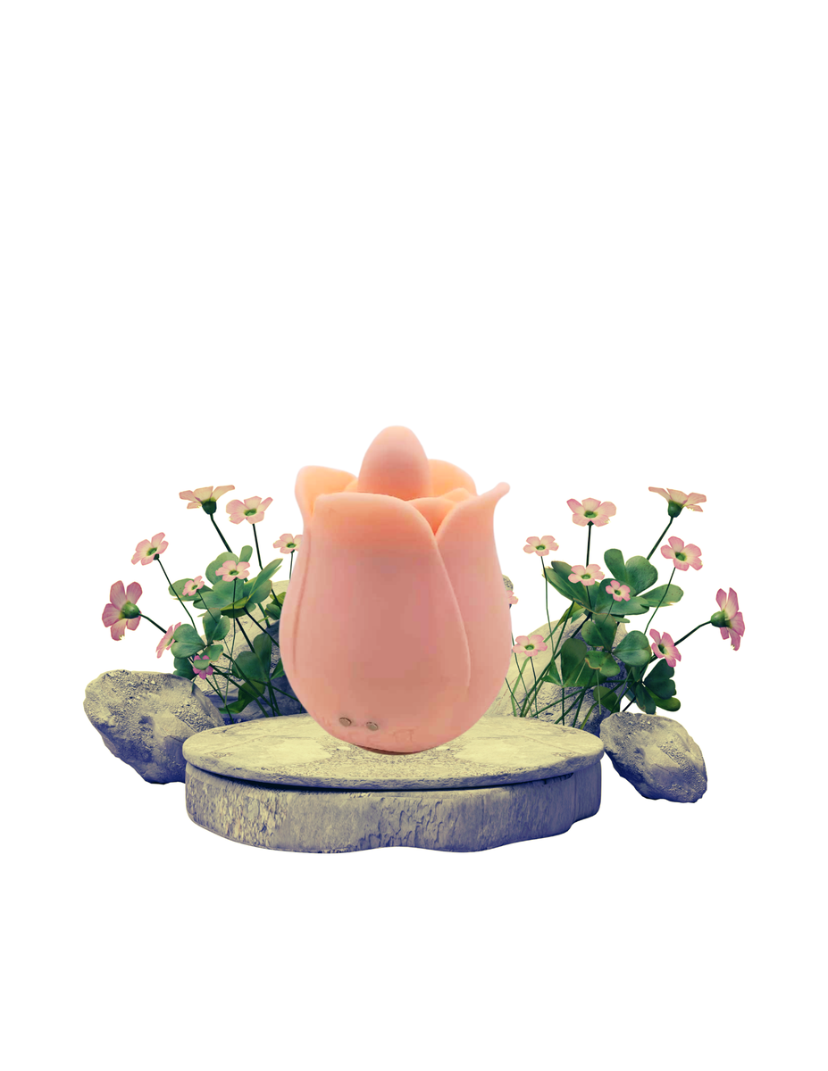 Rose Pink Pro 4 Vibrator