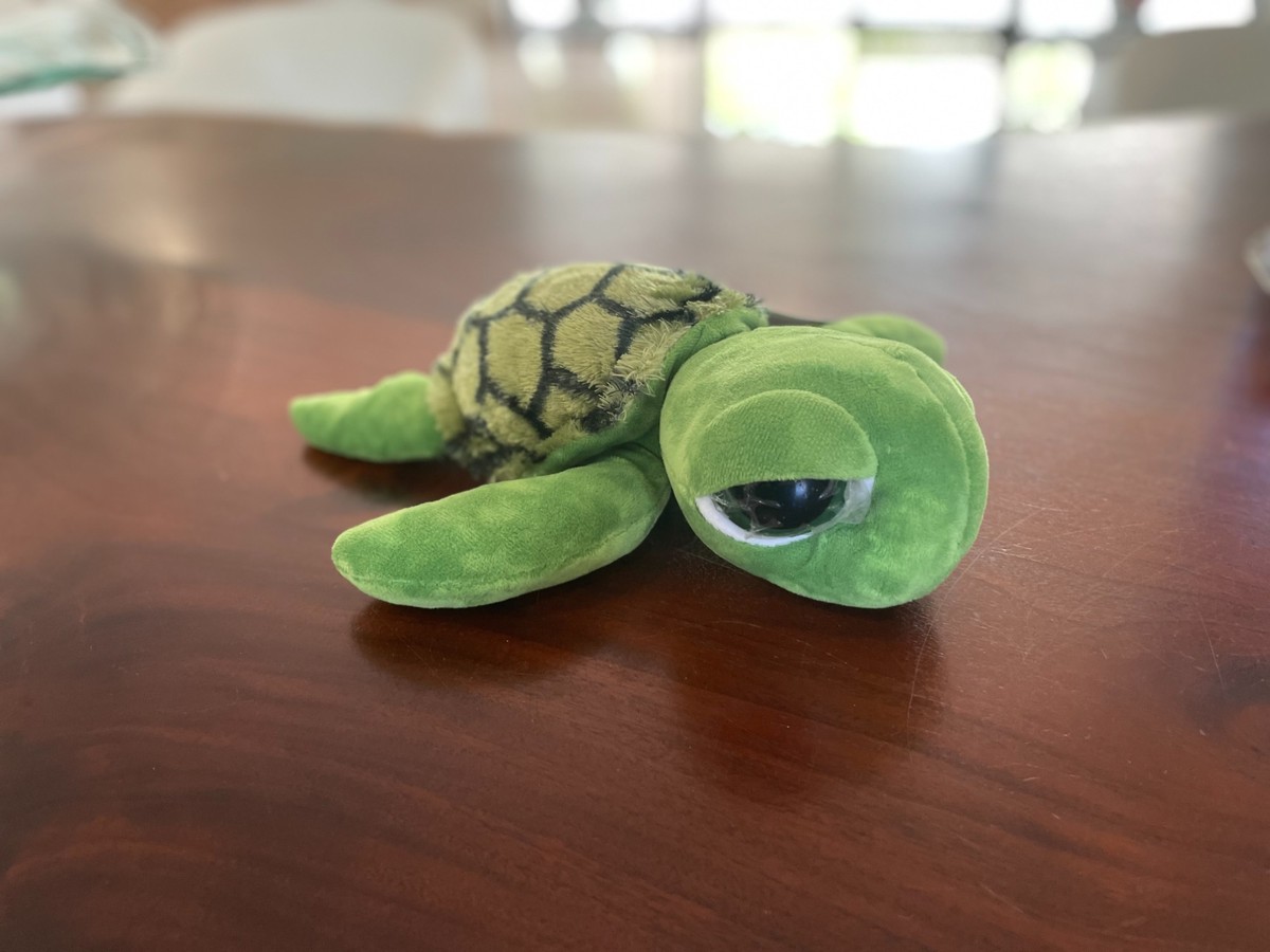 Turtle Soft Toy