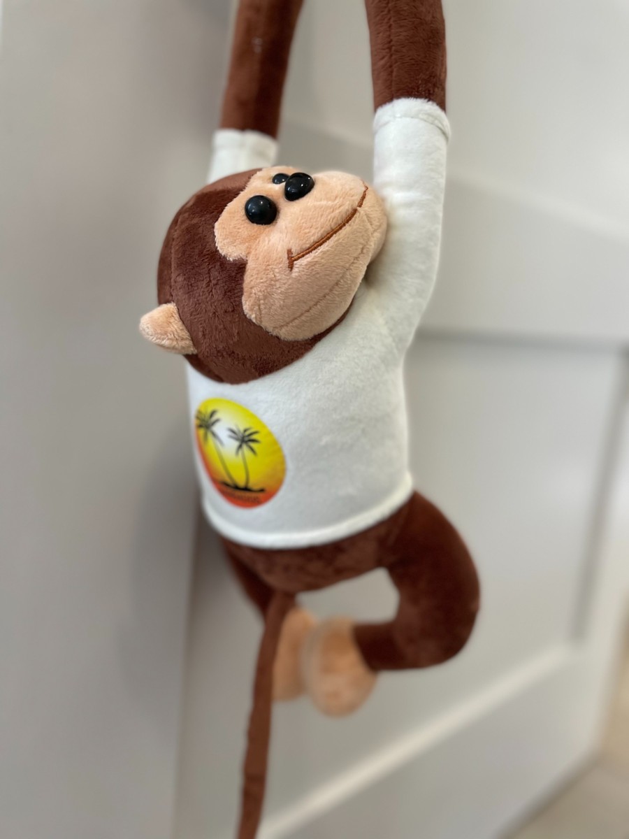 Monkey Soft Toy