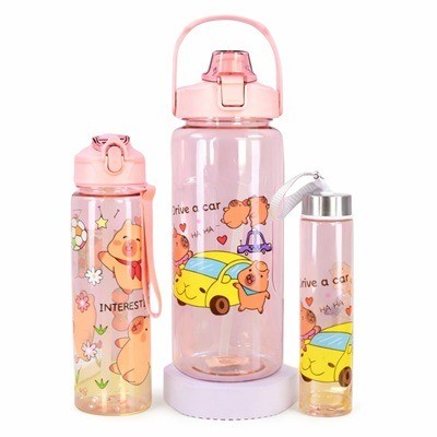 Trío de botellas capibara (2000ml-700ml-300ml)