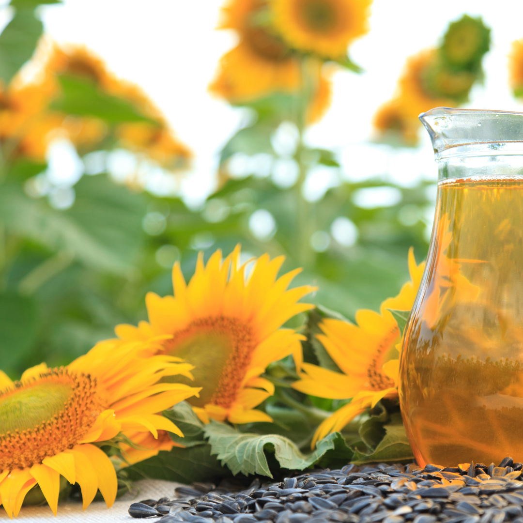 Sunflower Oil