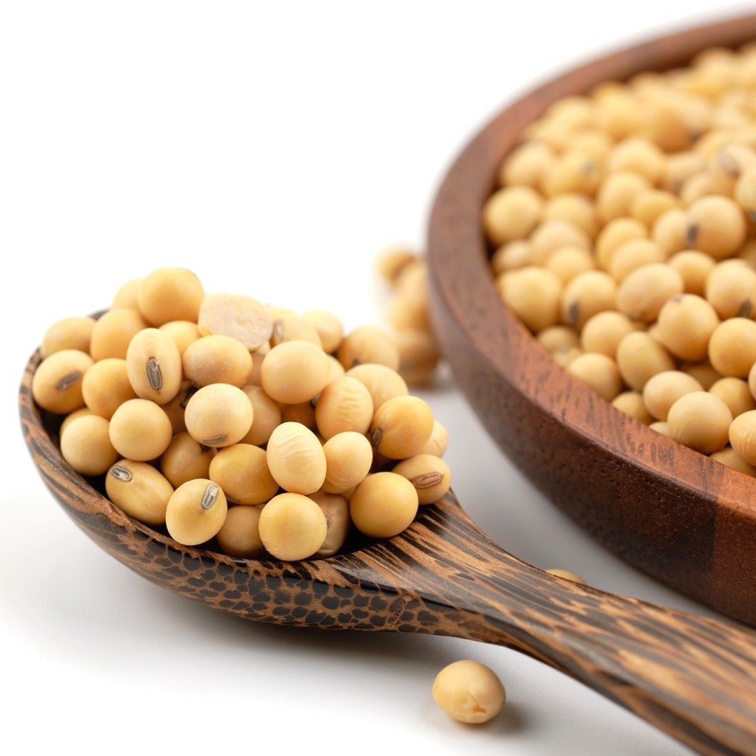 Soybean Oil