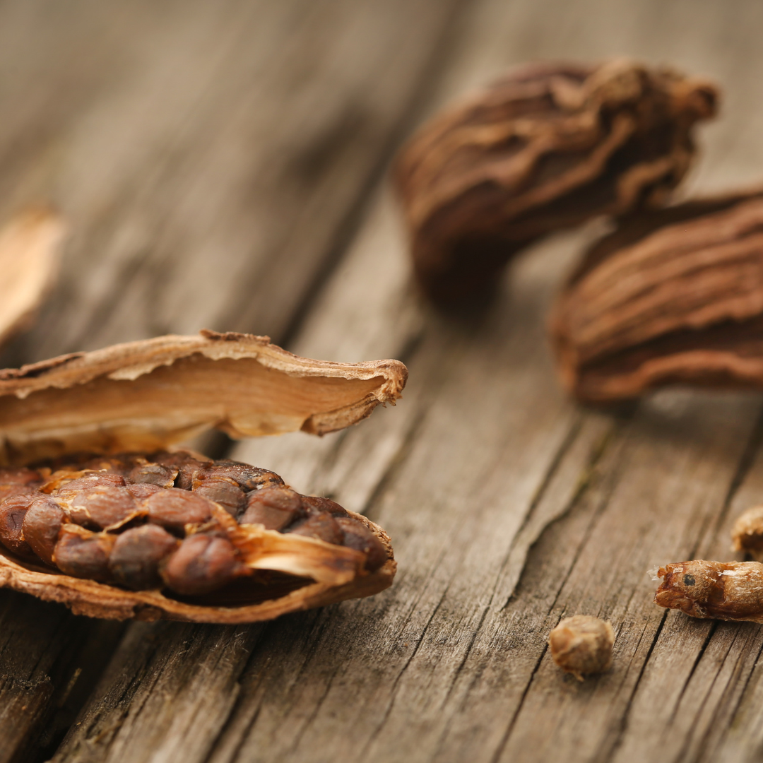 Black Cardamom and Cream Fragrance Oil
