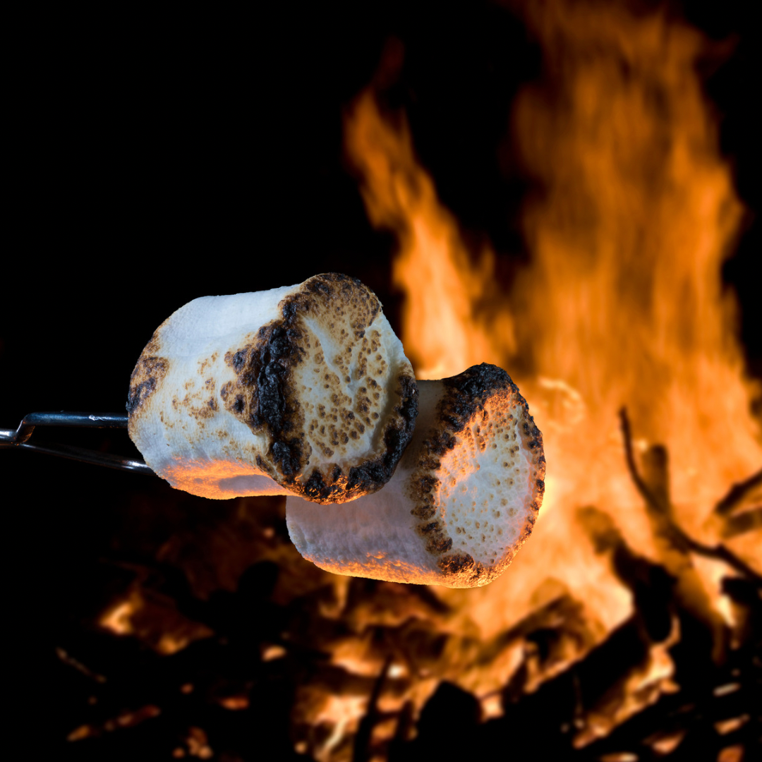 Campfire Marshmallow Fragrance Oil