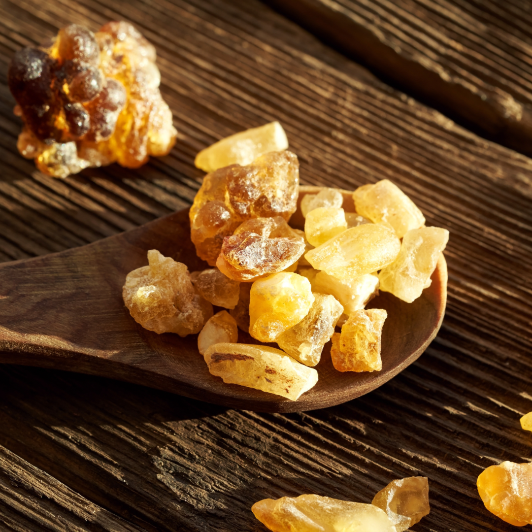 Frankincense Essential Oil - Serrata