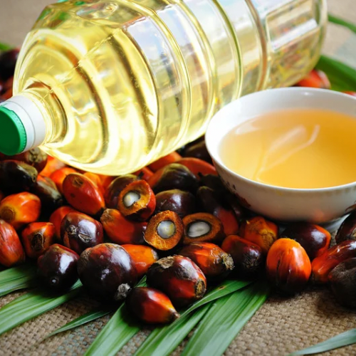 Palm Kernel Oil