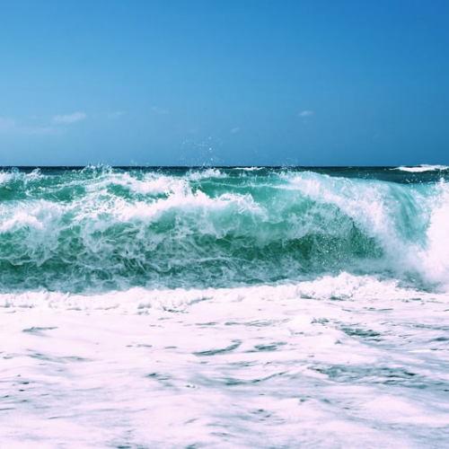 High Tide Fragrance Oil