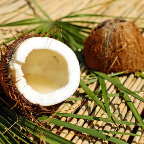 Bamboo & Coconut Fragrance Oil