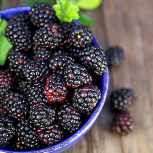 Black Raspberry Vanilla Fragrance Oil