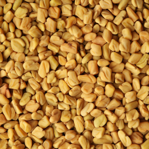 Fenugreek Seeds