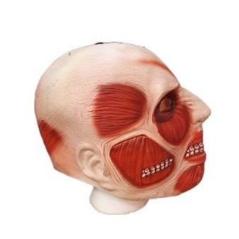 Attack On Titan - Collosal Titan Mask