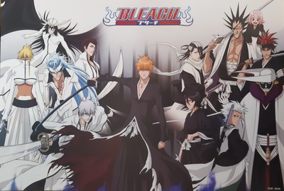 Bleach Poster #07