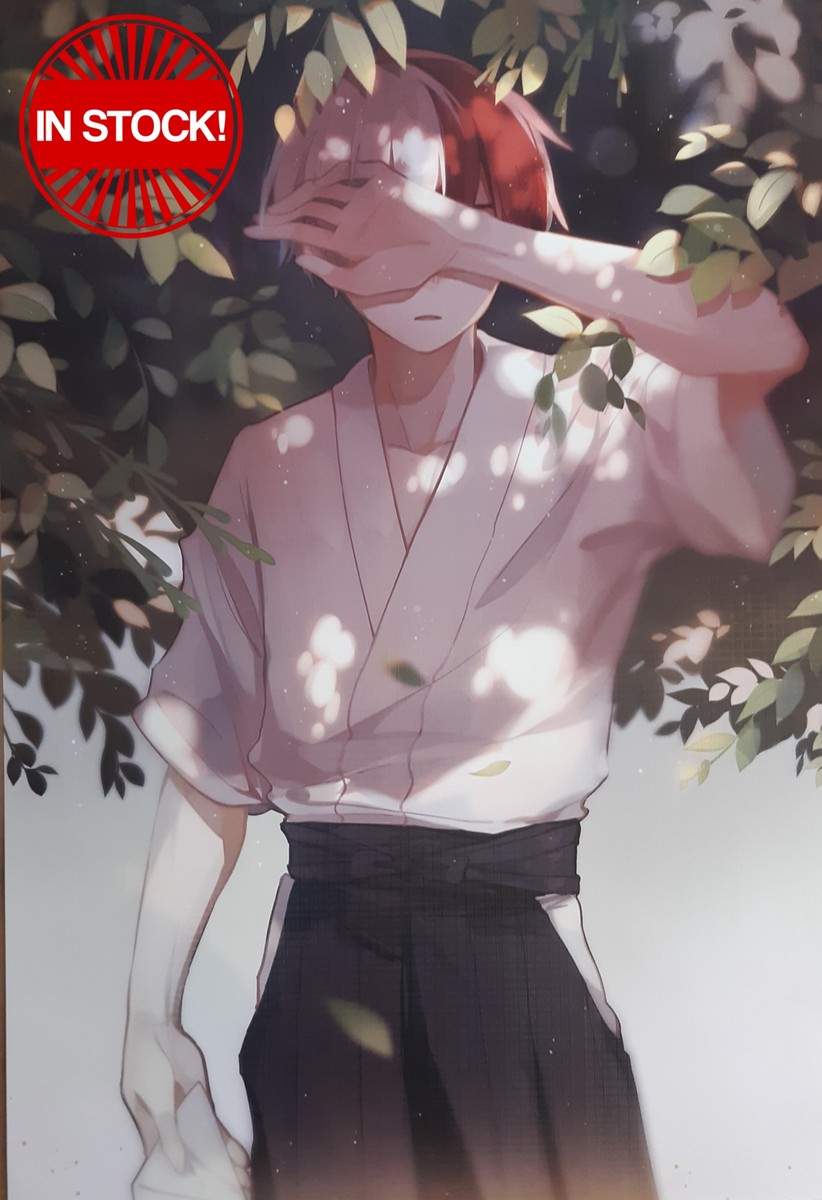 My Hero Academia Poster #14