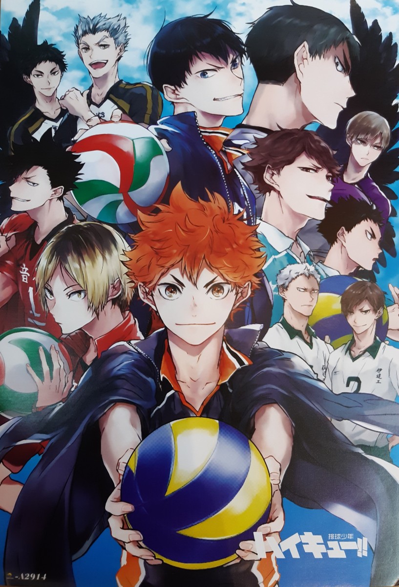 Haikyu!! Poster #01