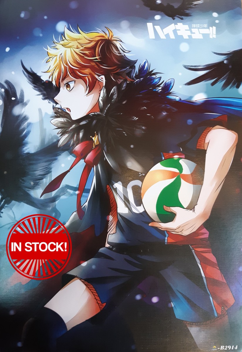 Haikyu!! Poster #04