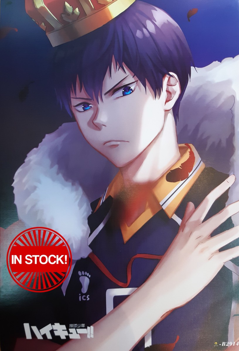 Haikyu!! Poster #05