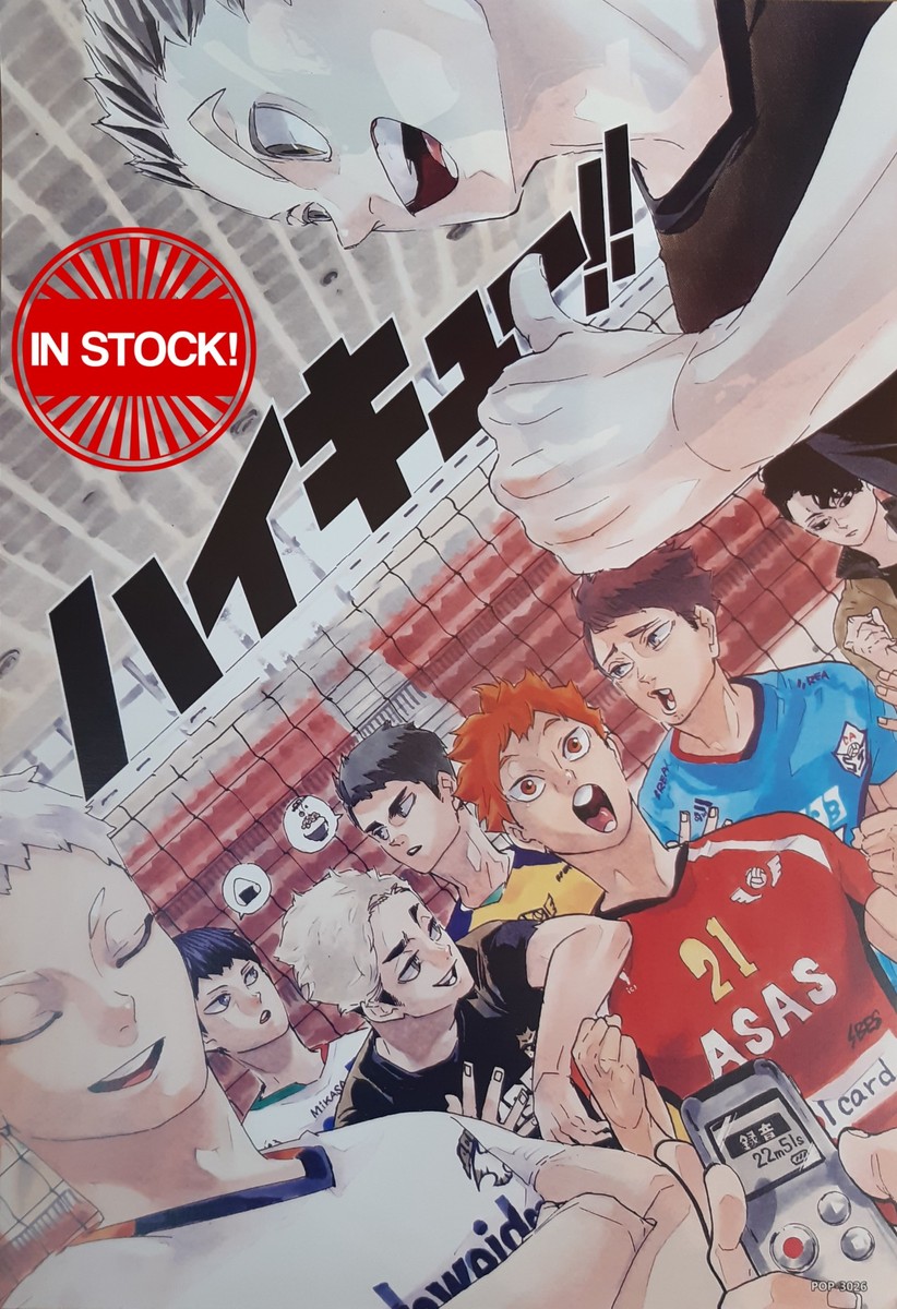 Haikyu!! Poster #10