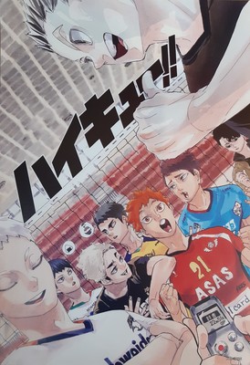 Haikyu!! Poster #10