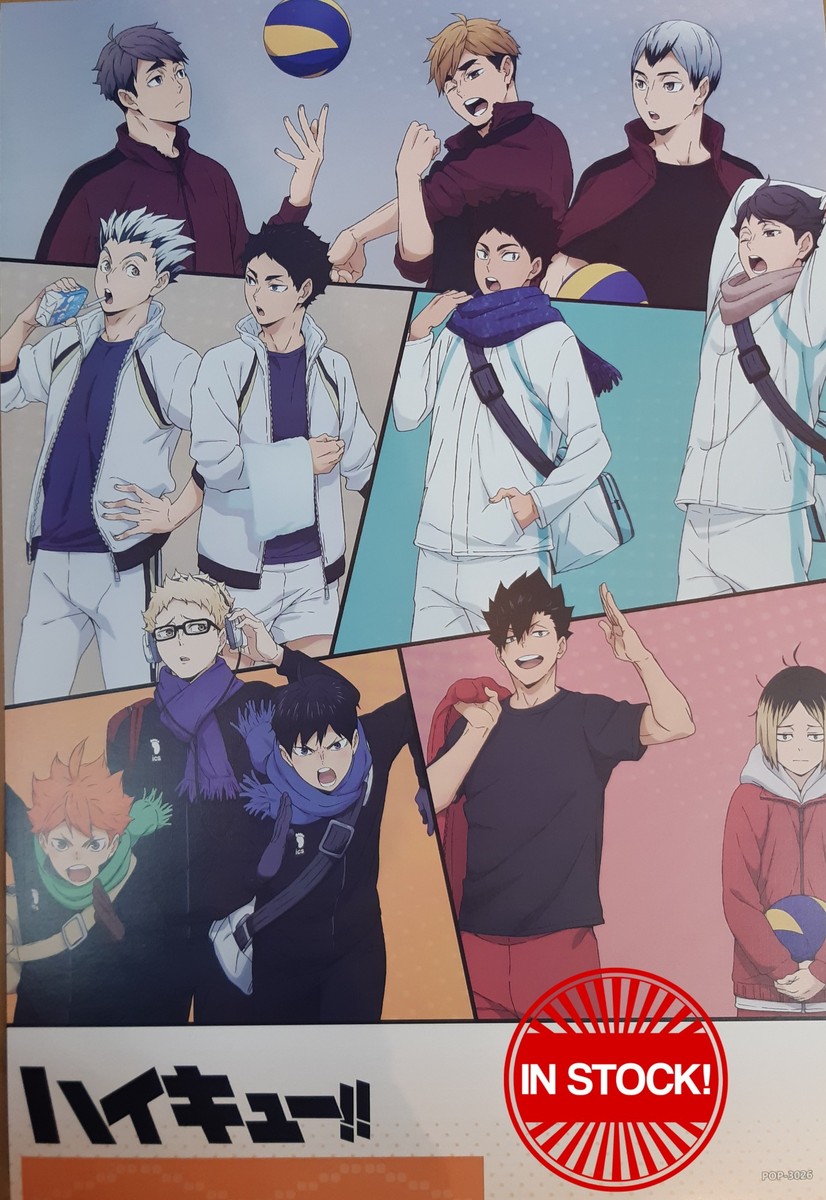 Haikyu!! Poster #11