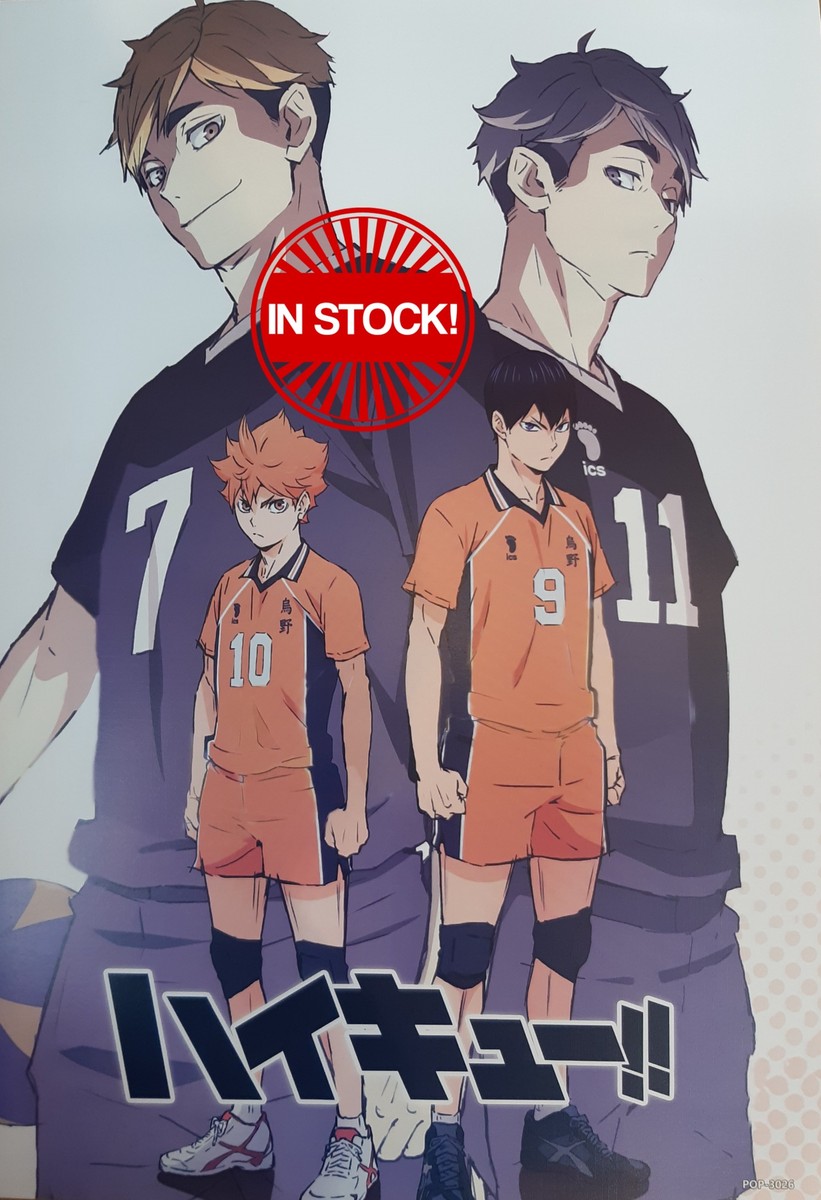 Haikyu!! Poster #13