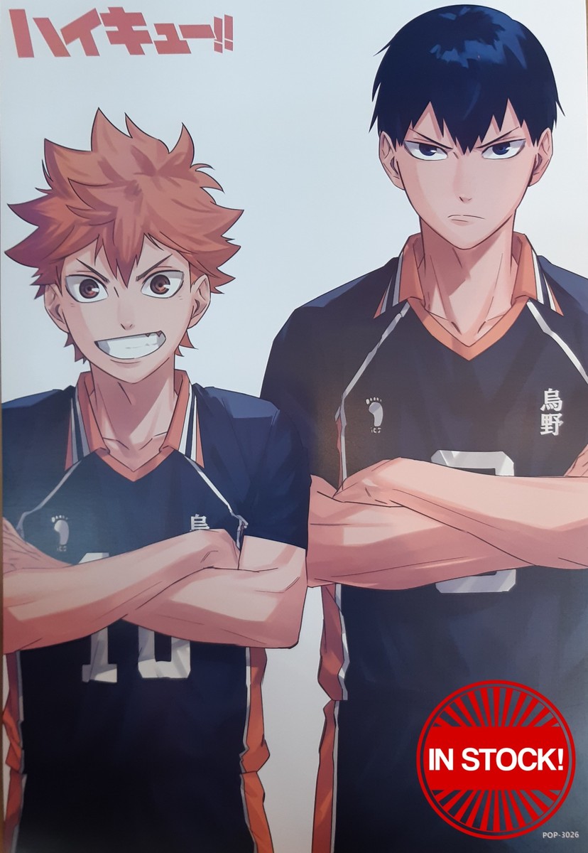 Haikyu!! Poster #14