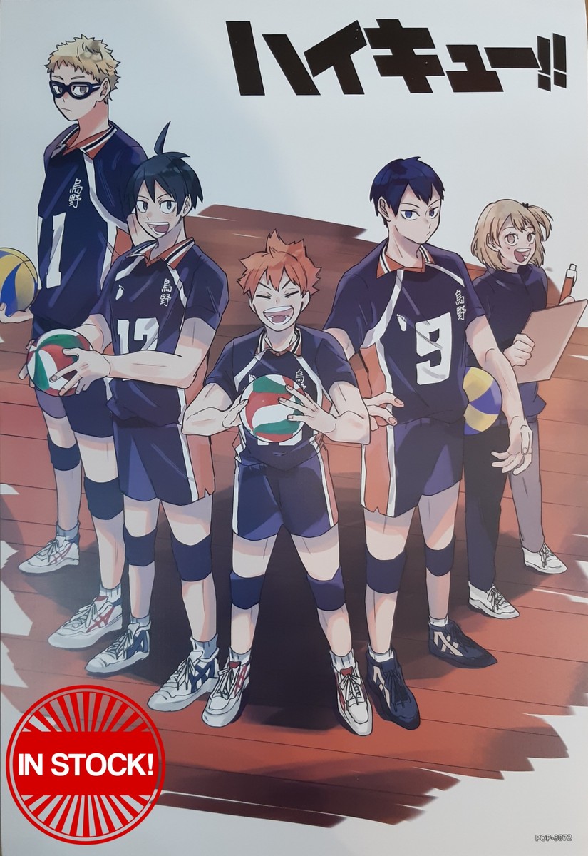 Haikyu!! Poster #17