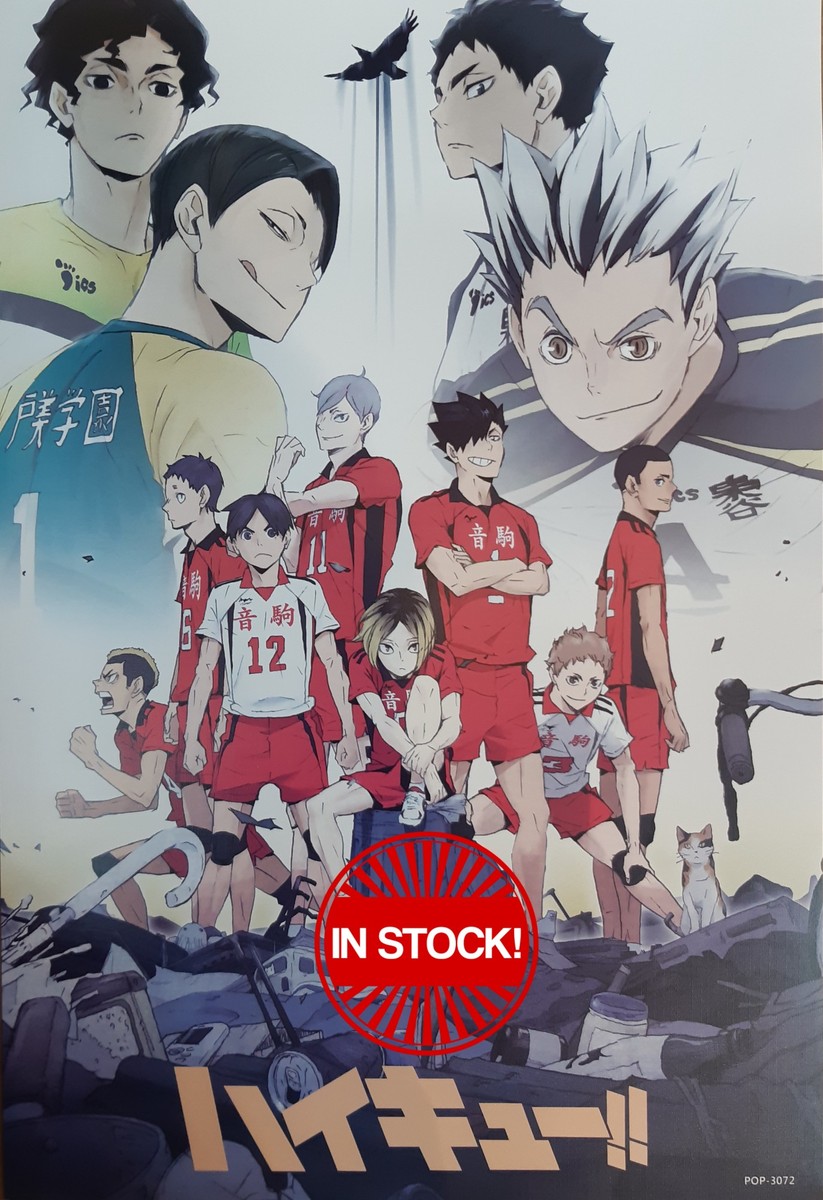 Haikyu!! Poster #18