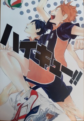 Haikyu!! Poster #20