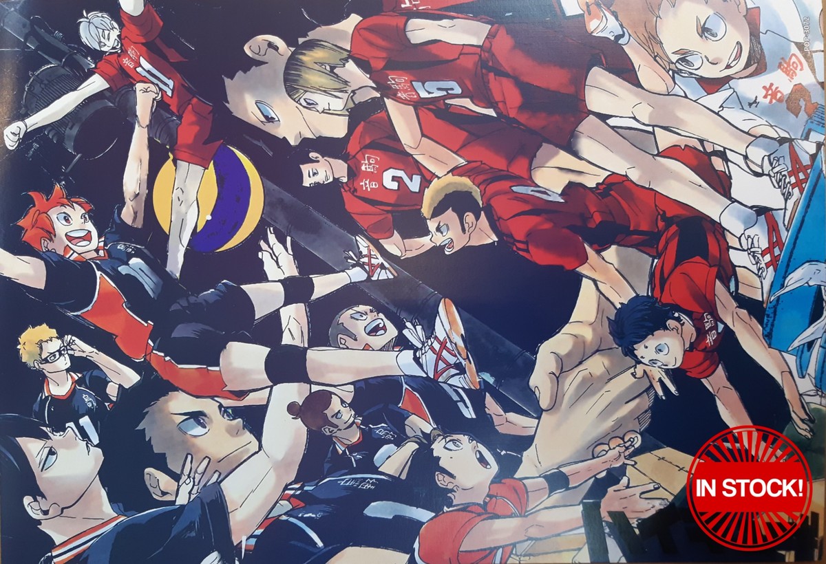 Haikyu!! Poster #22