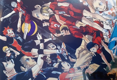 Haikyu!! Poster #22