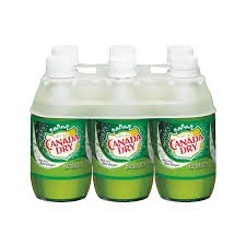 Canada dry ginger ale 6 pack 1fl oz