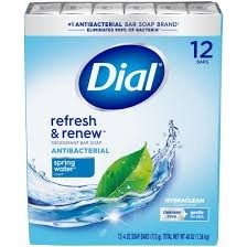 Dial spring water bar 12 pack 4 oz