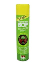 Bop 600 ml evergreen.