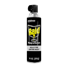 Raid wasp and hornet 14 oz.
