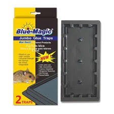 Blue magic large glue 2 count.