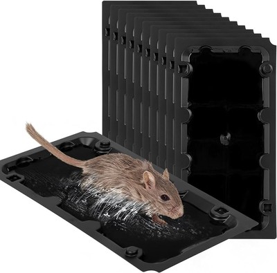 I BALL mouse glue trap 2 count.