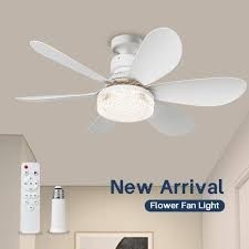 Socket fan light disp 1000 lumens