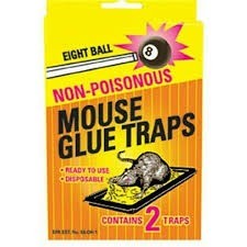 8 ball rat glue 2 in pack