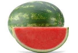Seedless watermelon