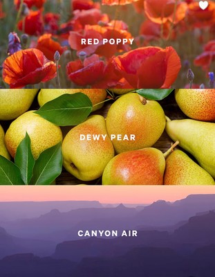 Victory Secret Canyon Blooms Fragrance Mist