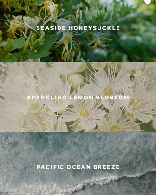 Victoria Secret Coastal Blooms Fragrance Mist