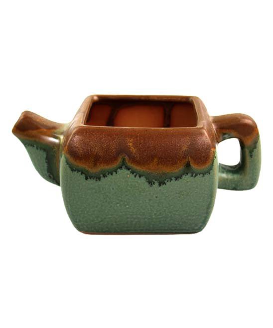 NW Wholesaler Green & Brown Teapot Planter