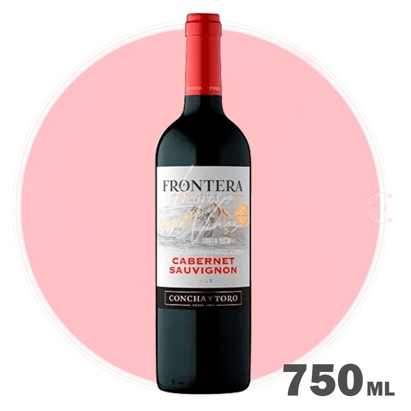 CABERNET FRONTERA 750ML
