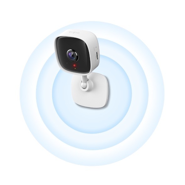 Tapo C110 V1 - Network surveillance camera - color (Day&Night)