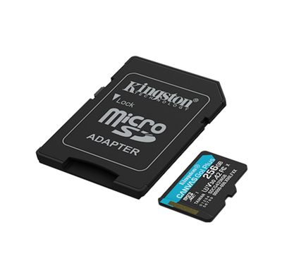 Kingston - Flash memory card - microSDXC Kingston 256GB microSDXC Canvas Go Plus