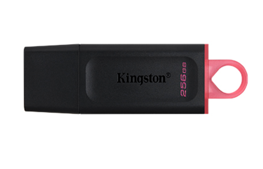 Kingston DataTraveler Exodia - USB flash drive - 256 GB Kingston USB 3.2 Gen 1 black/pink